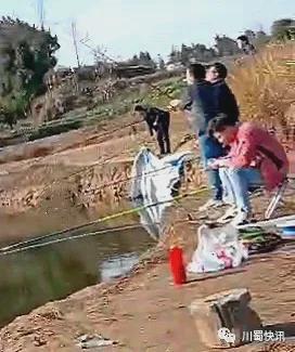 今期鼠猪马出特，湖里鱼儿二三条 是什么生肖:答案全面解释落实