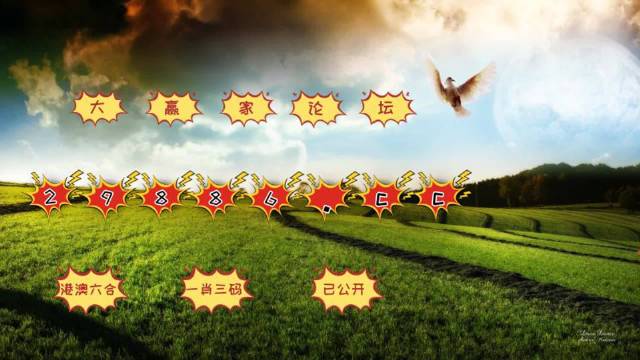 文化 第19页