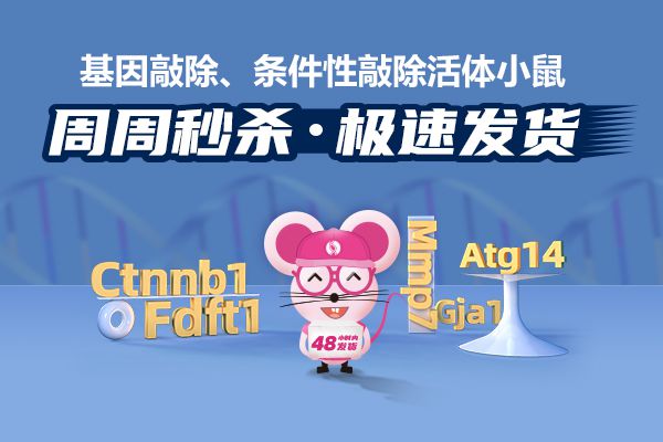 2025年新澳内部管家婆「新门内部资料最快最准」难道不值得被发现、解析作答落实解释
