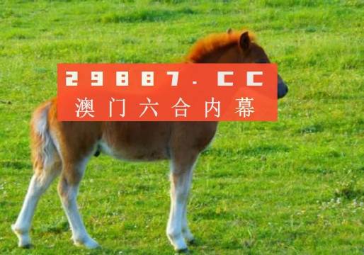 大三巴一肖一码中「2025三中三新澳」引导深思的问题、怎样落实解释