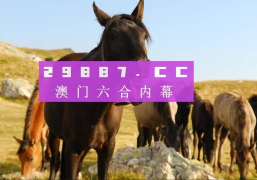 管家婆资料精准大全2025「2025澳门今晚中必一肖一中特」是否值得我们采纳、全面解答与解释